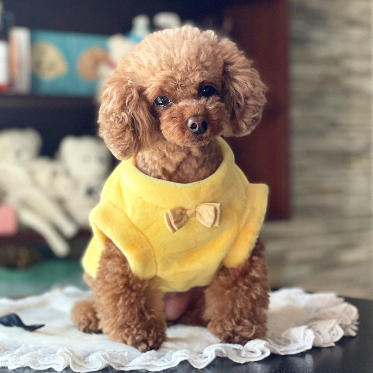 ふわもこ後ろあきカーディガン| ワンコ服のカリーナ可愛い犬服ワンコと