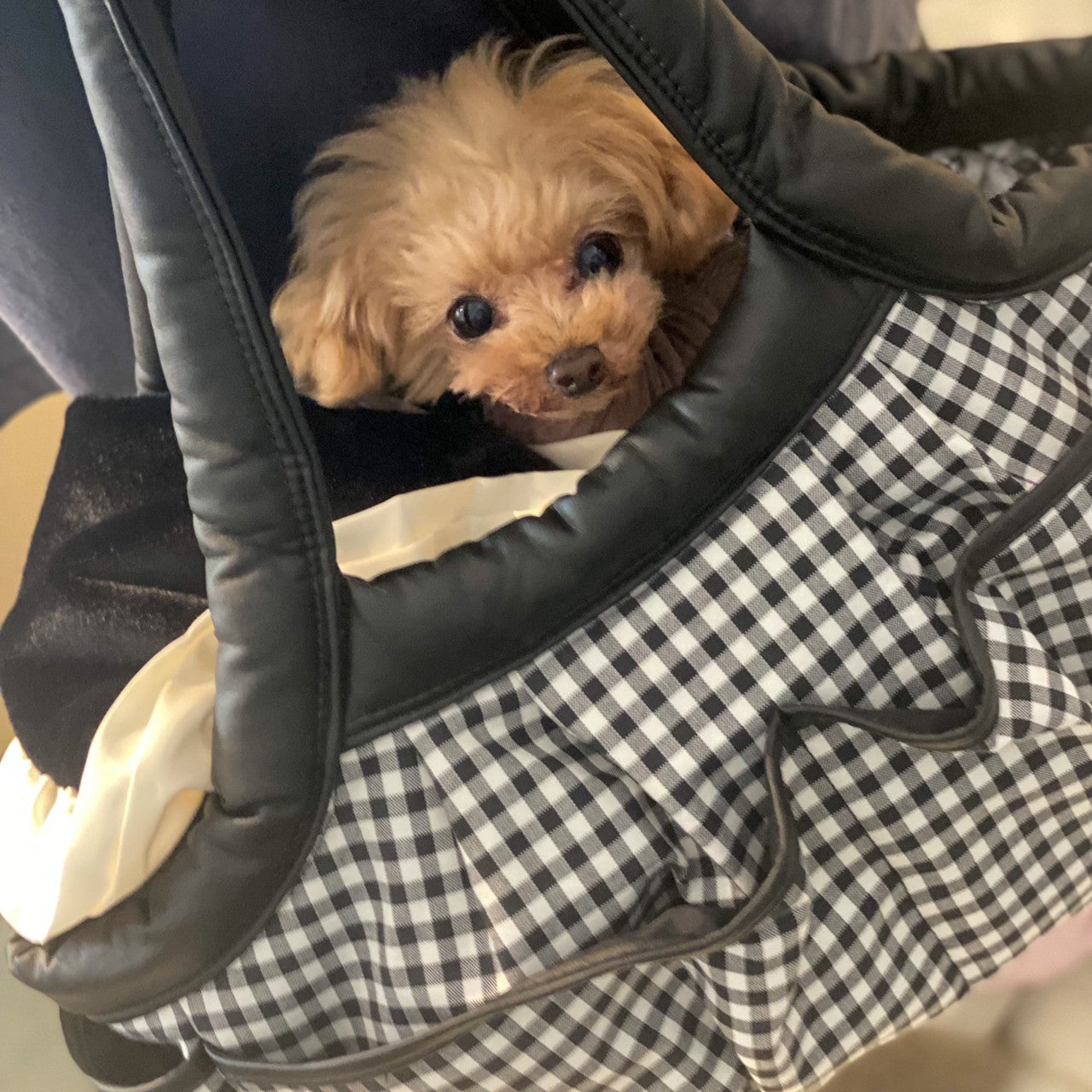 ふわもこBAG in BAG | 小型犬 お出かけ ドッグウェア カート用 バッグ用 おしゃれ KALINA