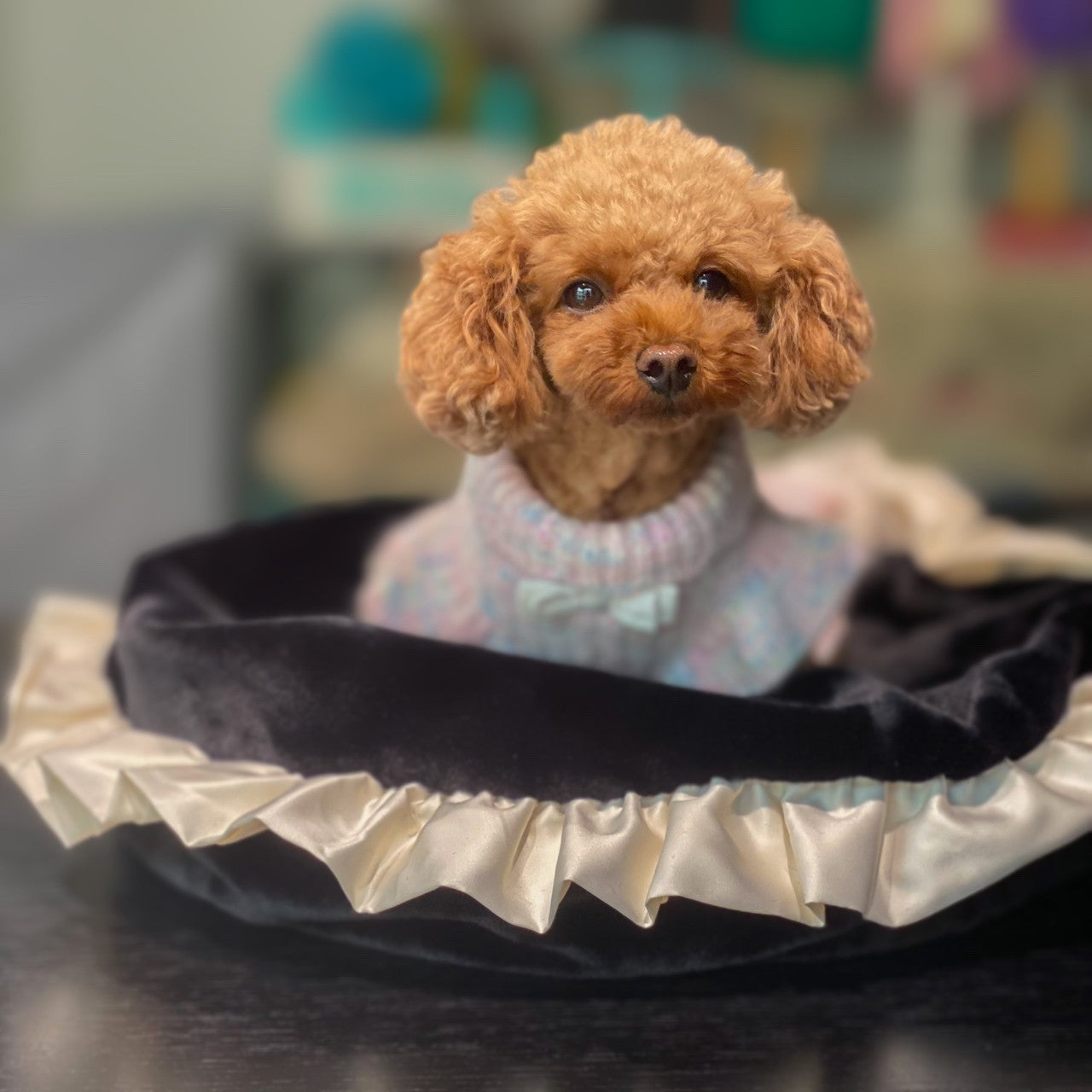 ふわもこBAG in BAG | 小型犬 お出かけ ドッグウェア カート用 バッグ用 おしゃれ KALINA