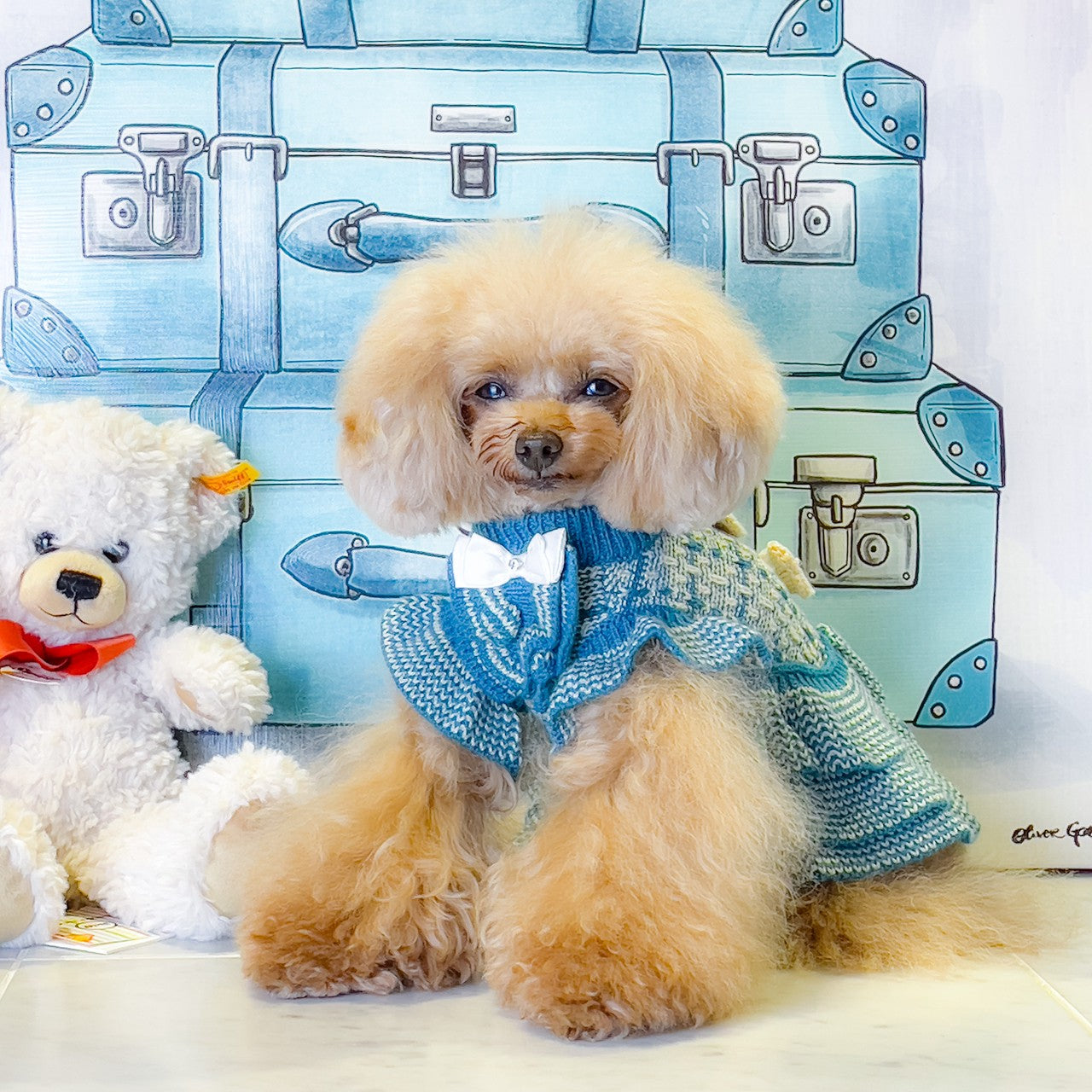 カシミヤ混ツィード風ワンピース | 犬服 小型犬 ドッグウェア 秋冬 KALINA