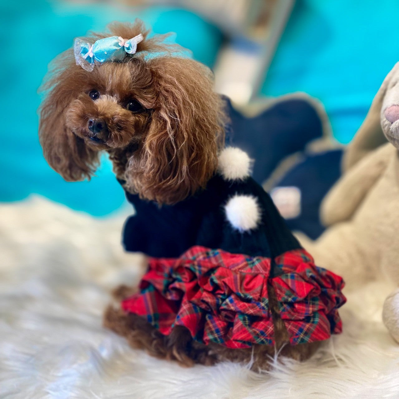 クリスマスチェック女の子ワンピース KALINA カリーナ 犬の服 犬服 ドッグウェア DOGWEAR ワンピース - ワンコ服KALINA 【  kalina_wans_gogoh 】