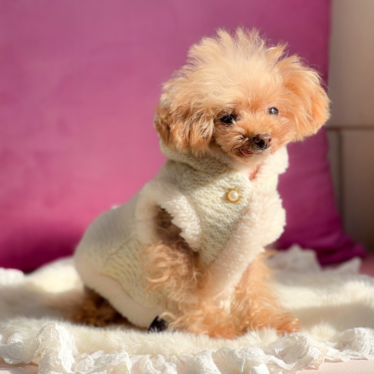 ニットツイード風フード付きケープ | 犬服 小型犬 ドッグウェア 秋冬 KALINA