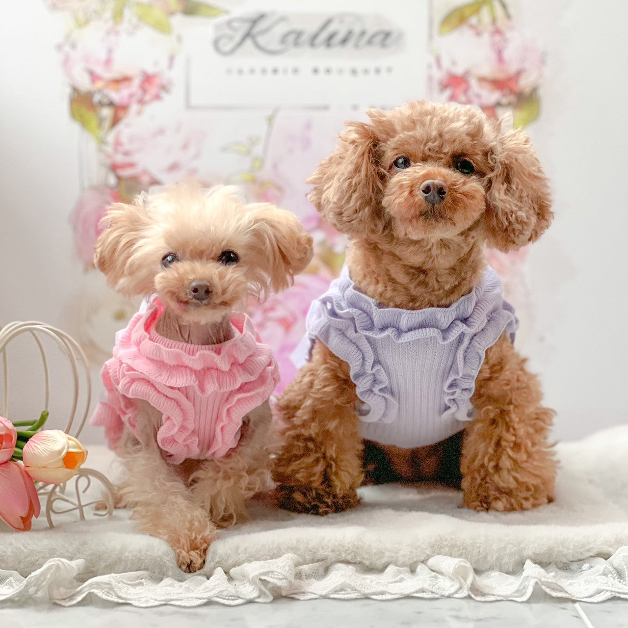リブ後ろリボンワンピース | 犬服 小型犬 ドッグウェア 秋冬 KALINA