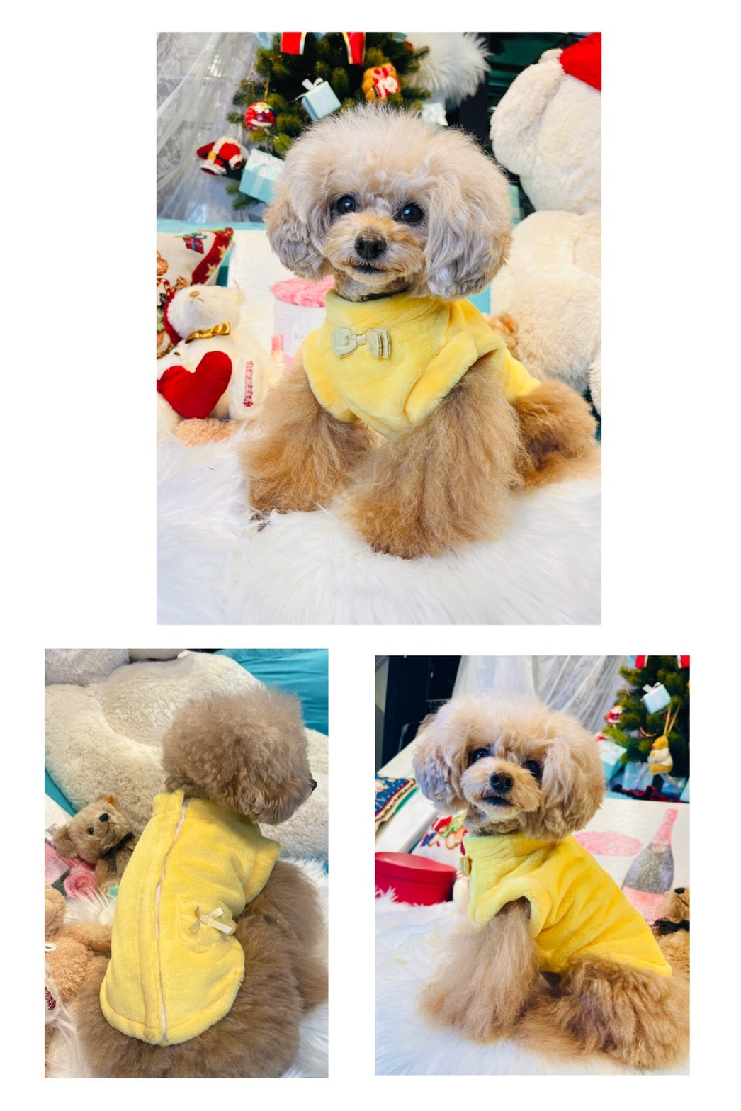 お歳暮 時期 ふわもこ後ろあきカーディガン| ワンコ服のカリーナ可愛い犬服 トップス