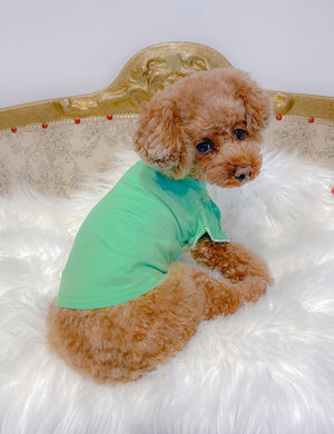 パフスリーブぷちハイネックTシャツ