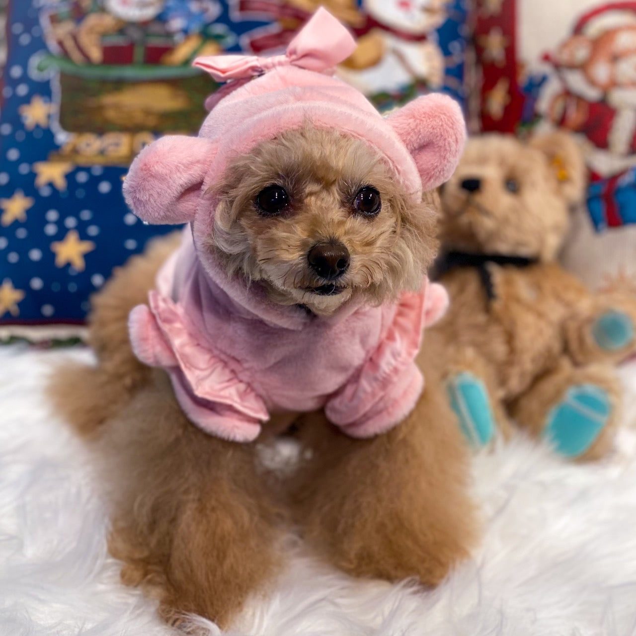 ふわもこくまさんパーカー| ワンコ服のカリーナ可愛い犬服ワンコと