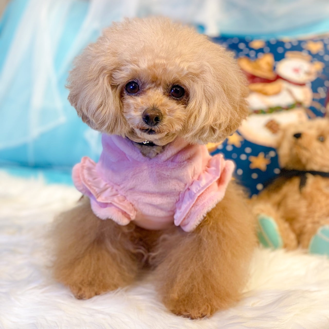 みみさま【DENIM ROSE】小型犬用プードルワッペンパーカー＋お揃いパーカー ふわもこくまさんパーカー| ワンコ服のカリーナ可愛い犬服ワンコ