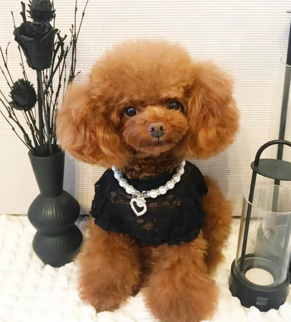 ハートネックレス | 犬服 小型犬 おしゃれ お出かけ KALINA