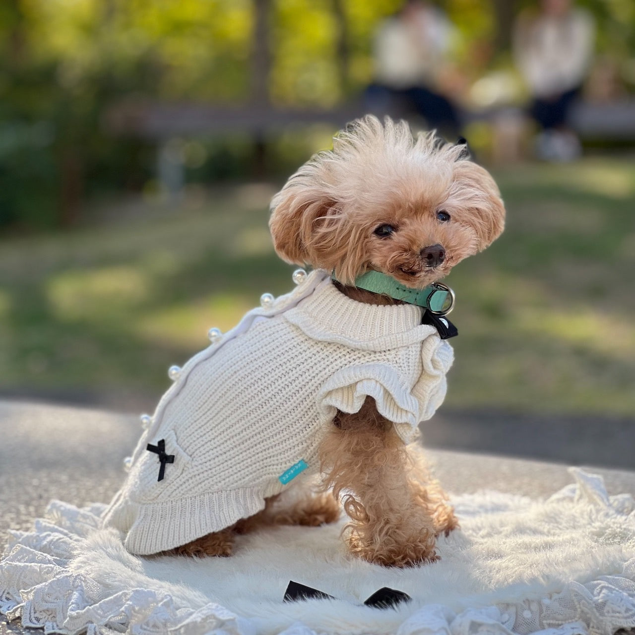 カシミヤ混パールボタンワンピース | 犬服 小型犬 ドッグウェア 秋冬 KALINA