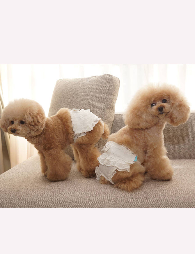 女の子たて柄レースマナーパンツ | 犬服 小型犬 ドッグウェア マナー