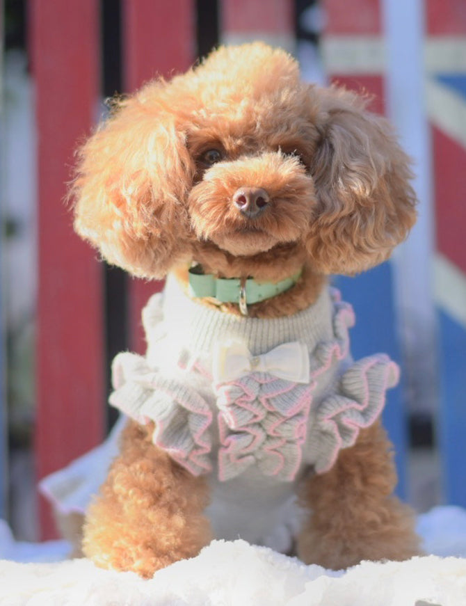 カシミヤ混ふりふりワンピース KALINA カリーナ 犬の服 犬服 ドッグ