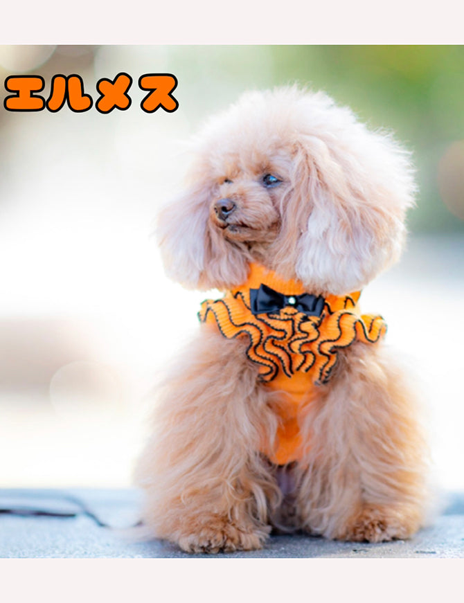 カシミヤ混ふりふりワンピース KALINA カリーナ 犬の服 犬服 ドッグ