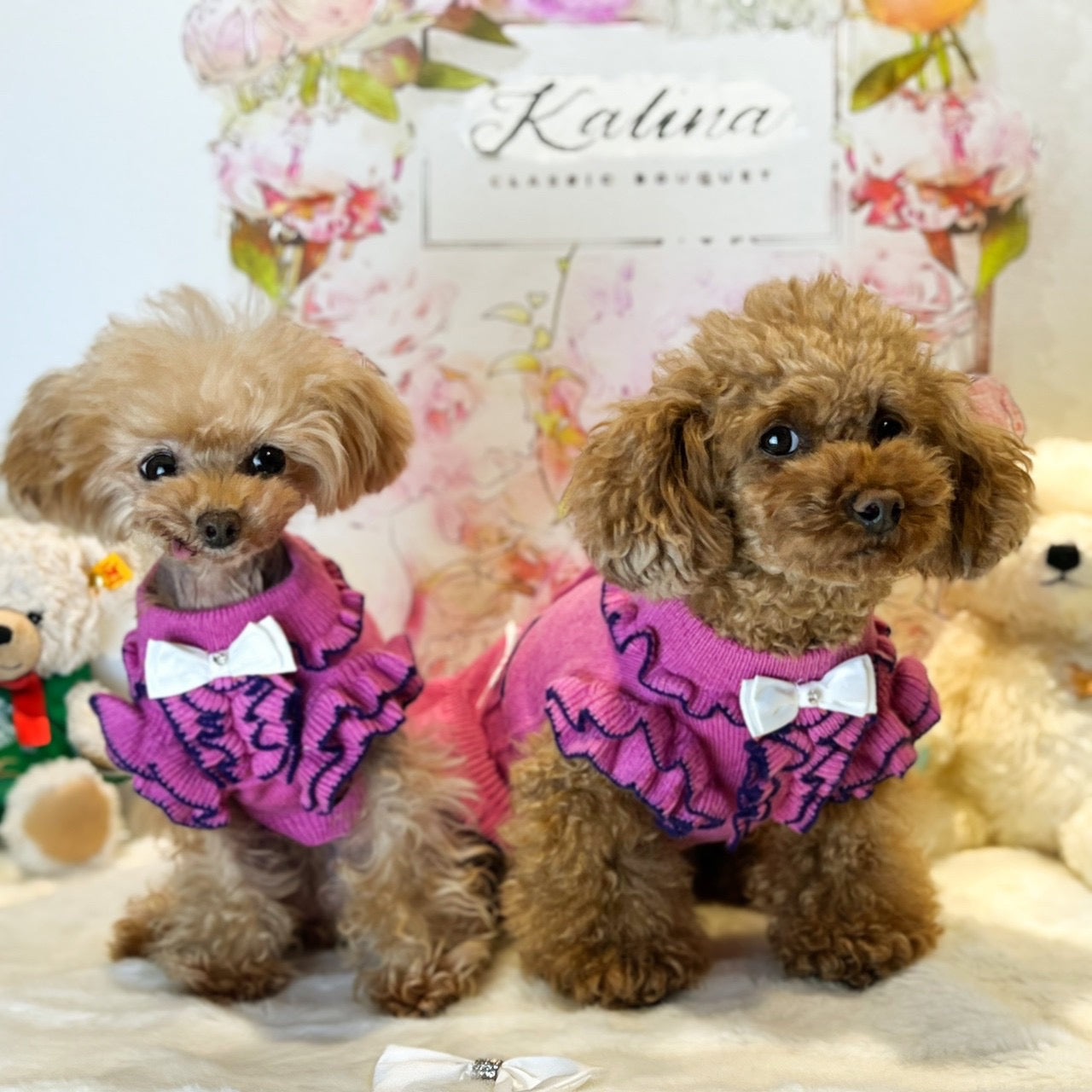 カシミヤ混ふりふりワンピース KALINA カリーナ 犬の服 犬服 ドッグ